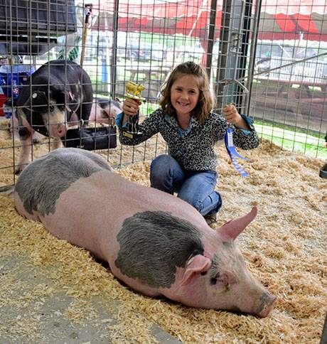 img_3947hogshow.jpg