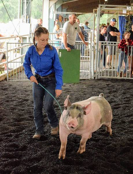 img_3961hogshow.jpg