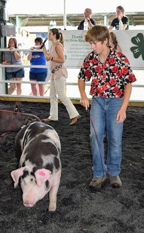 img_3992hogshow.jpg