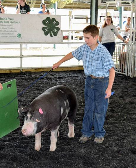 img_3997hogshow.jpg