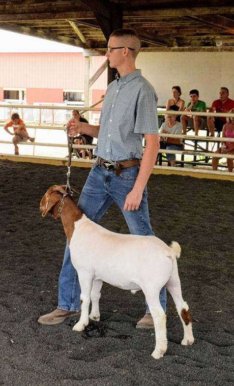 img_3998goatshow.jpg