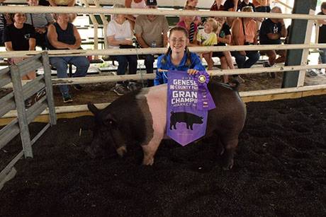 img_4012hogshow.jpg