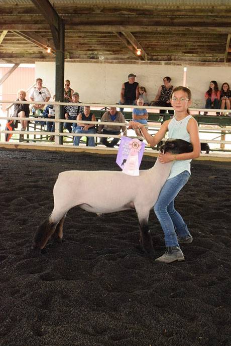 img_4040sheepshow.jpg