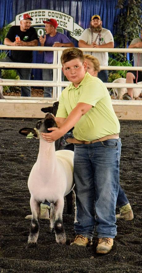 img_4044sheepshow.jpg