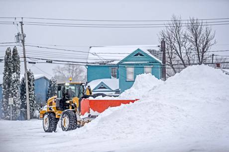 snowdaymlk2022-5.jpg