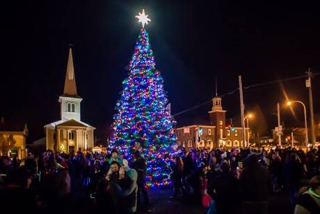 leroytreelighting2017.jpg