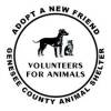 Volunteers for Animals  Logo